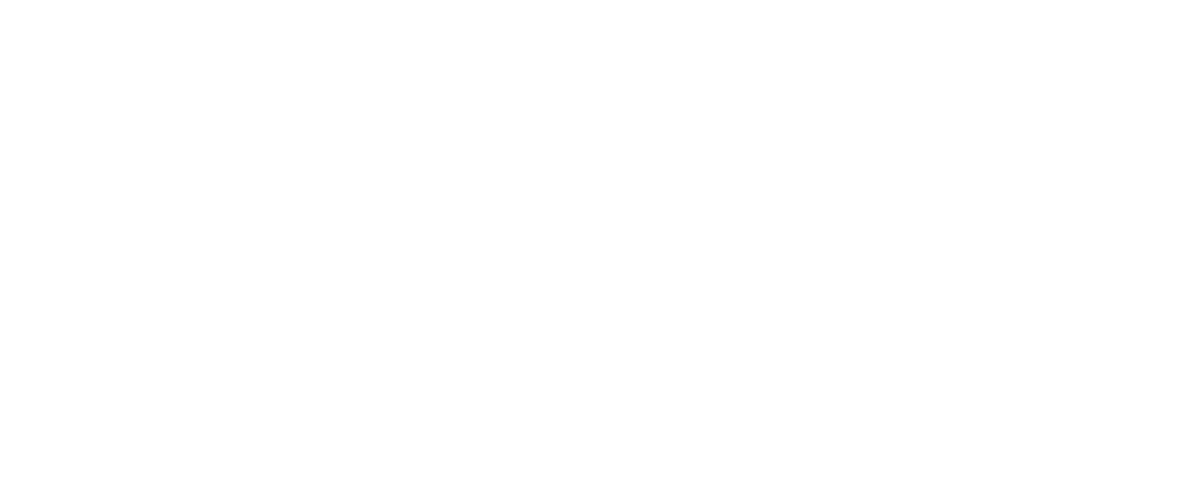 Throttle Supply